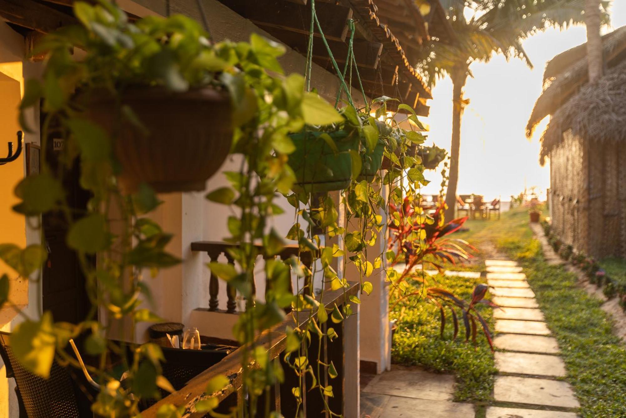 Forget Me Not Resort Agonda Exterior photo